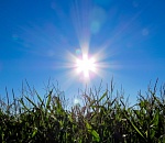 Жара и ветер: синоптики рассказали, какая погода будет в Астрахани 9 августа