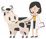 В Приволжском районе Астраханской области выявили очаг инфекционного заболевания