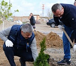 Астраханцы высадили новые деревья "Сада памяти"