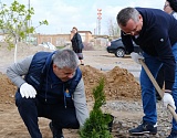 Астраханцы высадили новые деревья "Сада памяти"