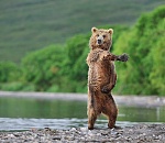 Ключевые комитеты в Гордуме Астрахани получили единороссы