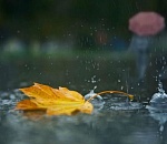 Завтра в Астрахани обещают дождь