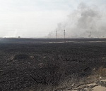 Фото дня: Чёрная-чёрная "бабайка"