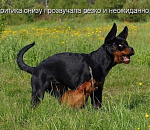 Астраханские эсеры vs. Константин Маркелов