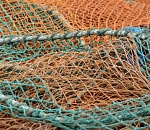 Под Астраханью полицейские нашли браконьера из-за его громкого мата