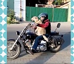 Астраханская Муха прославилась на всю страну