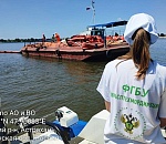 В Астрахани обнаружили большое загрязнение Волги в районе острова Пролетарский