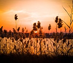 Небольшие осадки и высокие температуры ждут астраханцев в пятницу