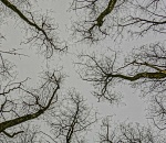 Какая погода ждет астраханцев в понедельник