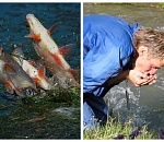 Или рыбе, или людям. Глава Средневолжского ТУ Росрыболовства считает, что всем воды не хватит