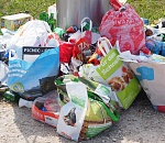 Астраханцы задолжали за вывоз мусора 103 млн рублей