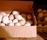 В Астраханской области стабилизируются цены на основные продукты, но тревожит ситуация с яйцами