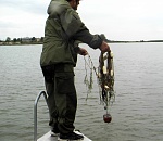 Более 1 тонны осетровых изъято группой «Осетр» у браконьеров