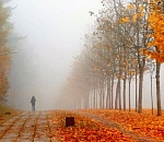 Суббота в Астраханской области будет пятничной копией. Разве что туман прибавится