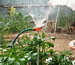 Астраханцам рассказали о «водном налоге» и плате за полив дачных участков