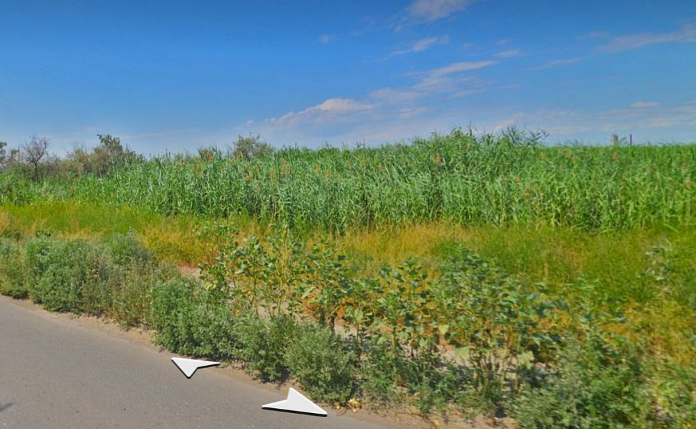 Пустырь на окраине Астрахани хотят превратить в застроенный жилой квартал