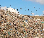 В Астраханской области ликвидируют полигон в Фунтово, а по свалке у Рассвета остаются вопросы