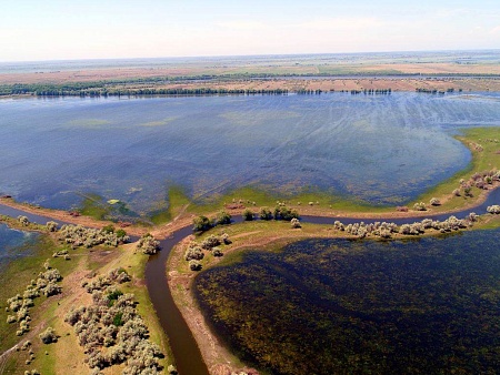 Воды ждем больше нормы, но насколько? Сергей Шипулин – об уровне половодья и нересте рыбы