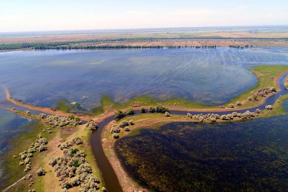 Воды ждем больше нормы, но насколько? Сергей Шипулин – об уровне половодья и нересте рыбы