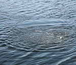 Потерявшийся в Астраханской области мужчина найден мертвым