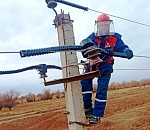 На астраханских ЛЭПах уже установлено более 5000 птицезащитных устройств