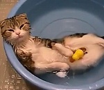 Завтра в Астрахани на неделю отключат горячую воду