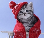 Синоптики обещают, что в субботу в Астрахани немного потеплеет