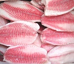 Крупнейший в РФ завод по выращиванию тиляпии откроется в Астраханской области в 2016 году