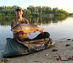 В Астраханской области вовсю ловят крупных сазанов
