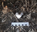 Им коронавирус не страшен: астраханская полиция задержала наркодилеров