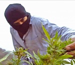 Найден преступник, который 11 лет скрывался по делу об астраханском наркотрафике