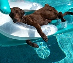 В Астрахань идут дожди и понижение температуры