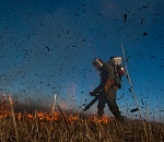 Активисты Greenpeace  поймали в Астраханской области поджигателя