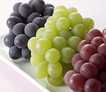 В Астраханской области испытывают 12 новых сортов винограда