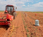 В Астраханской области работает молодой тракторист-романтик