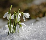 Синоптики рассказали, какая погода ждёт астраханцев завтра