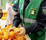 Астраханский Россельхознадзор реорганизован