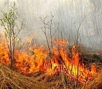 МЧС предупреждает астраханцев о высокой пожароопасности