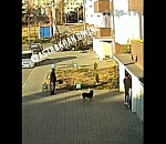 Астраханец выпал из окна и разбился насмерть на глазах у прохожих: видео