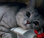 В Астрахань пришли морозные ночи