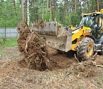 Под Астраханью рабочий, спиливая сухостой, повредил ЛЭП