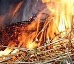 В Астраханской области по неосторожности спалили более ста тонн сена