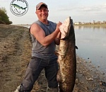 В Астраханской области поймали речного монстра