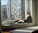 Сегодня астраханцев ждет по-настоящему весенняя погода