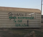 Фото дня: найден самый любвеобильный гараж Астрахани