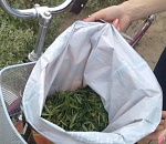 Астраханские полицейские за 2 месяца изъяли 30 килограммов наркотиков