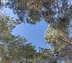 Весна наступает на пятки: сегодня днём в Астрахани будет тепло