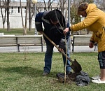 В Астрахани начались посадки