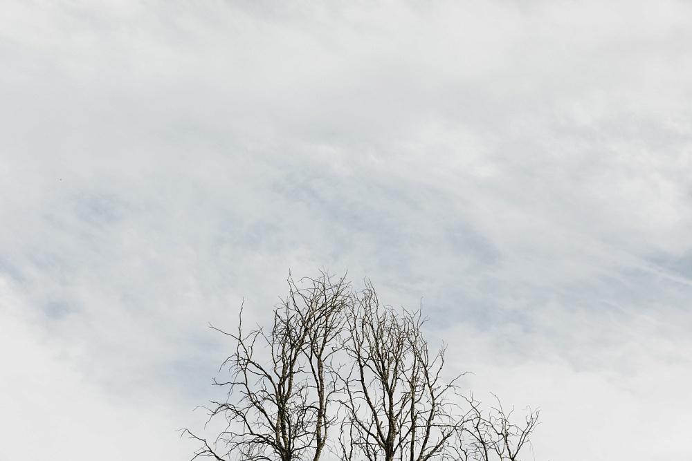 Серо, сыро, хмуро: типичная зима установилась в Астрахани