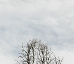 Серо, сыро, хмуро: типичная зима установилась в Астрахани